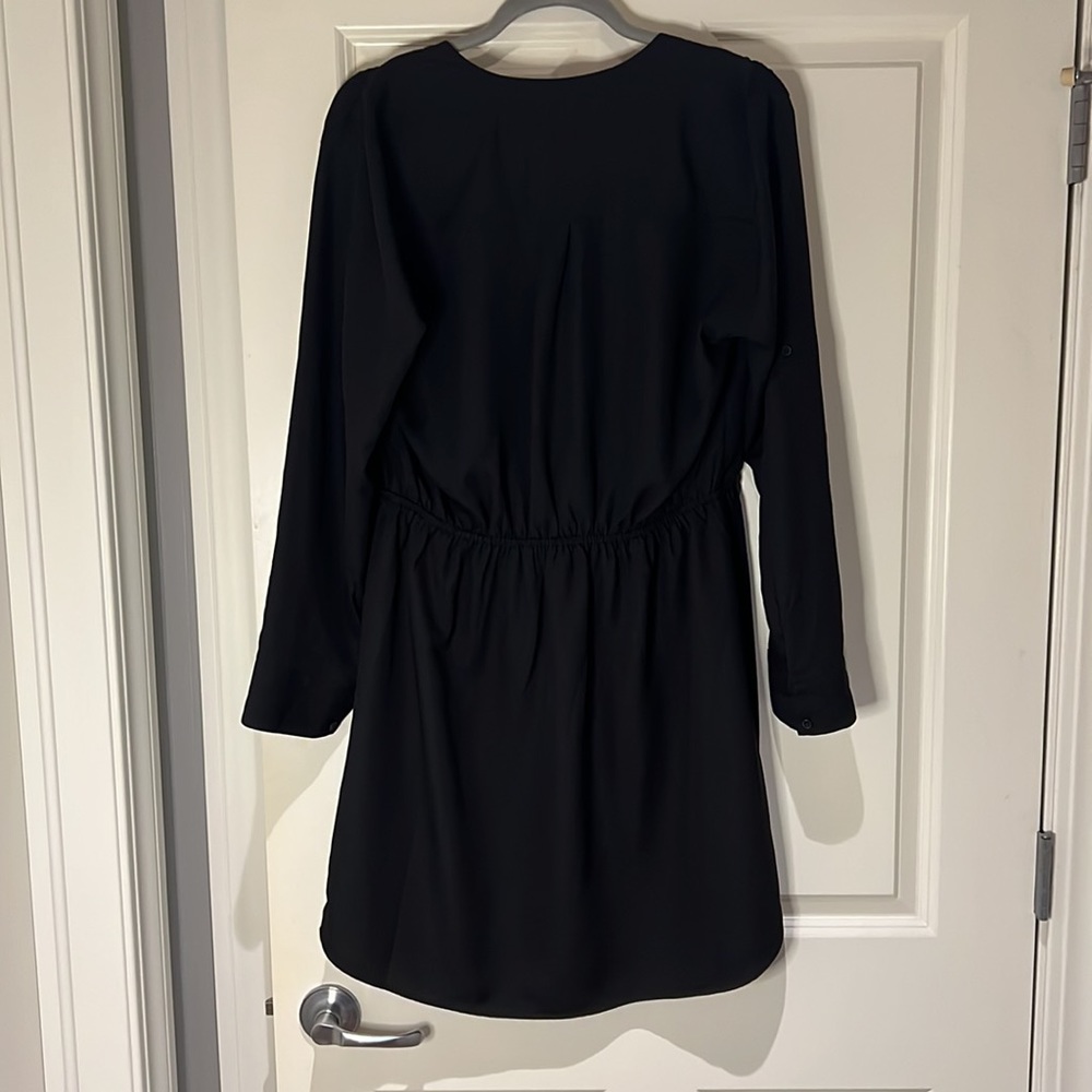 Express Dress - Picture 3 of 3